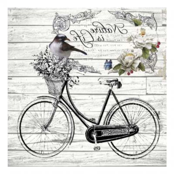 TRANSFER MIXART 5819V  25X25 ARTEBELLA