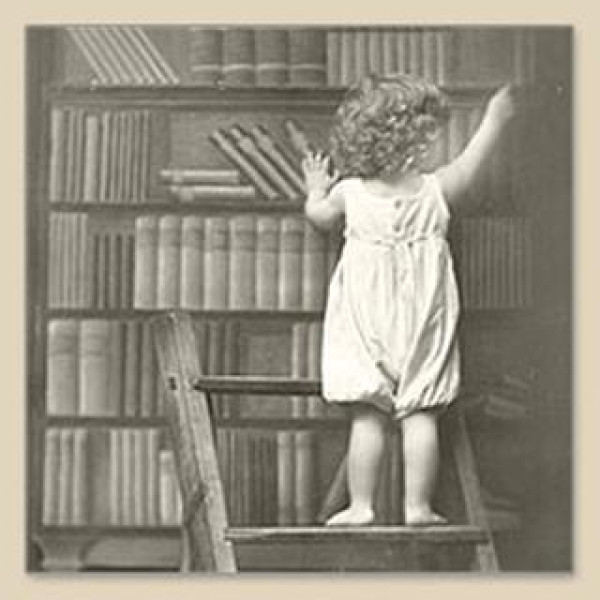 ΧΑΡΤΟΠΕΤΣΕΤΑ 080044 ΒΙΒΛΙΟΘΗΚΟΝΟΜΟΣ - ΣΥΣΚΕΥΑΣΙΑ 20τμχ