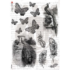 ΡΙΖΟΧΑΡΤΟ 32Χ45 ANIMALS-0033