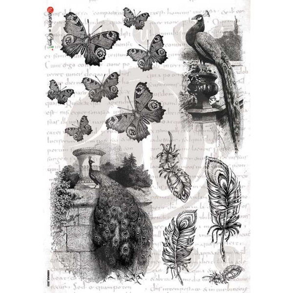 ΡΙΖΟΧΑΡΤΟ 32Χ45 ANIMALS-0033