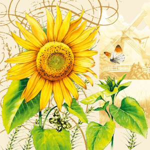 ΧΑΡΤΟΠΕΤΣΕΤΑ TOURNESOL 33X33 - ΣΥΣΚΕΥΑΣΙΑ 20τμχ