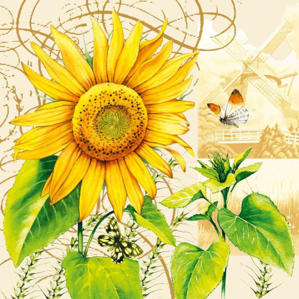 ΧΑΡΤΟΠΕΤΣΕΤΑ TOURNESOL 33X33 - ΣΥΣΚΕΥΑΣΙΑ 20τμχ