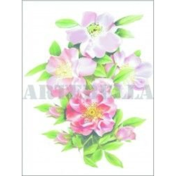 EASY TRANSFER 17X24 1268K ARTEBELLA