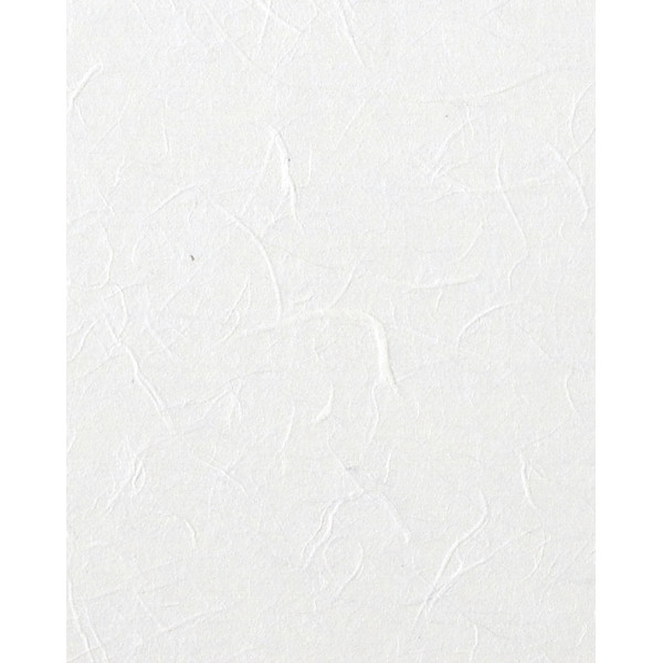 ΡΙΖΟΧΑΡΤΟ ΛΕΥΚΟ 25GR 47X64CM