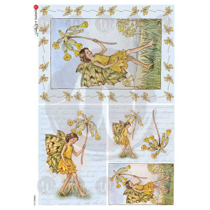 ΡΙΖΟΧΑΡΤΟ 32Χ45  FAIRIES-0045