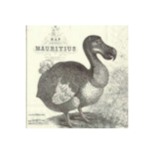 ΧΑΡΤΟΠΕΤΣΕΤΑ 33X33 L604560 - ΣΥΣΚΕΥΑΣΙΑ 20τμχ