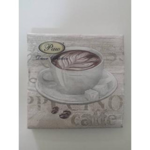 ΧΑΡΤΟΠΕΤΣΕΤΑ - ΣΥΣΚΕΥΑΣΙΑ 20τμχ