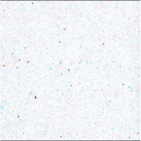 ΑΦΡΩΔΕΣ ΦΥΛΛΟ Α4 210x297 ΛΕΥΚΑ GLITTER 2,0 mm