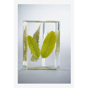 ΡΗΤΙΝΗ ΥΓΡΟ ΓΥΑΛΙ 50% bio 750ml GEDEO PEBEO BIO
