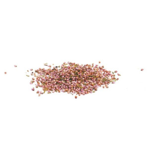 ΑΠΟΞΗΡΑΜΕΝΑ ΑΝΘΑΚΙΑ 15GR