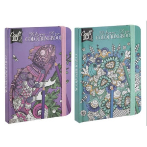 COLOURING BOOK ΜΕ ΣΚΛΗΡΟ ΕΞΩΦΥΛΛΟ Α6 50 ΦΥΛΛΑ 2 ΣΧΕΔΙΑ