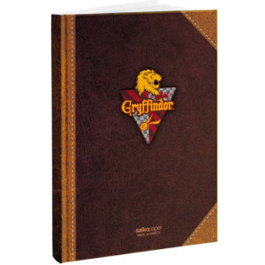 ΒΙΒΛΙΟΤΕΤΡΑΔΙΟ HARRY POTTER PRIDE ΡΙΓΕ 21Χ29 3Θ 96ΣΕΛ