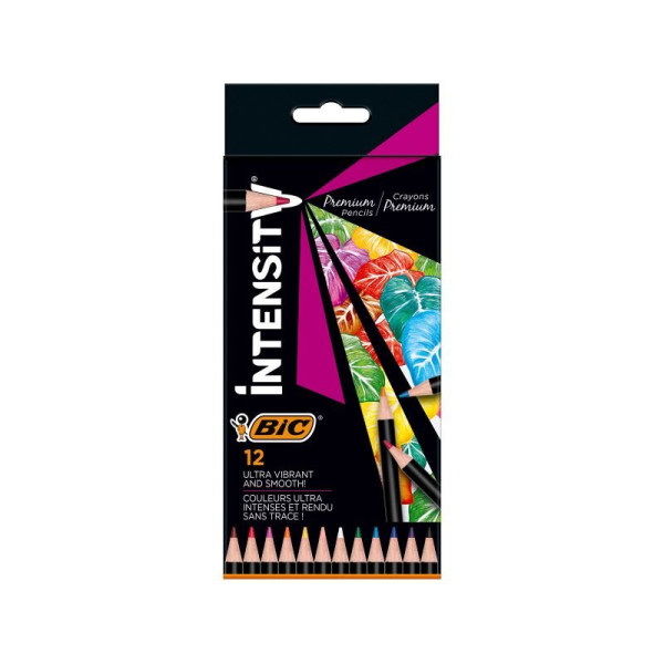 ΣΕΤ ΞΥΛΟΜΠΟΓΙΕΣ INTENSITY BIC 12 ΧΡΩΜΑΤΑ