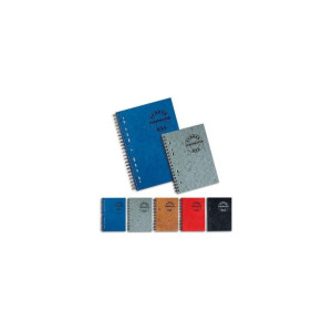 ΤΕΤΡΑΔΙΟ ΣΠΙΡΑΛ 423 NUMBER ONE PERFORATED 17x25/120Φ 3 ΘΕΜΑΤΑ
