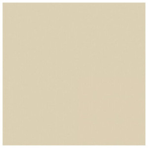ΦΥΛΛΑ ΚΑΝΣΟΝ ΚΟΛΑΖ 50x70cm ΕΚΡΟΥ