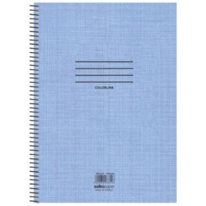 ΤΕΤΡΑΔΙΟ ΣΠΙΡΑΛ "COLORLINE" 17x25/250ΣΕΛ-5 ΘΕΜΑΤΑ