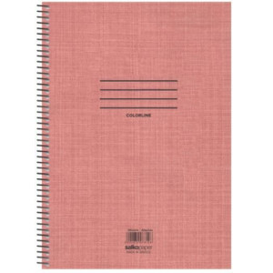 ΤΕΤΡΑΔΙΟ ΣΠΙΡΑΛ "COLORLINE" 17x25/60ΣΕΛ-1 ΘΕΜΑ