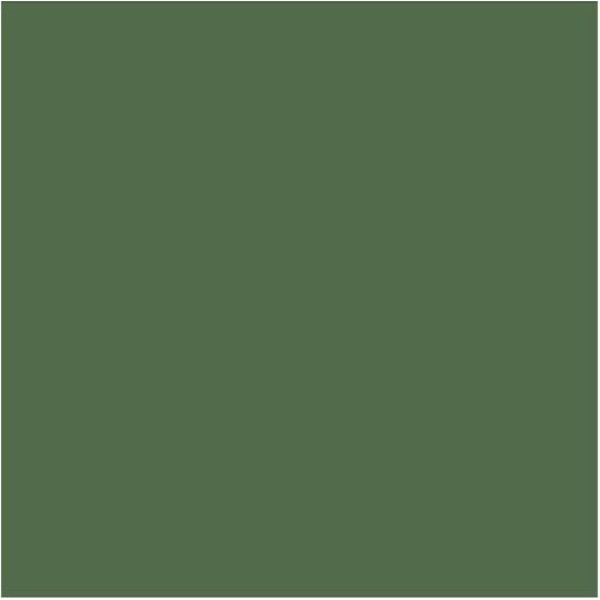 ΦΥΛΛΑ ΚΑΝΣΟΝ ΚΟΛΑΖ 50x70cm ΛΑΔΙ