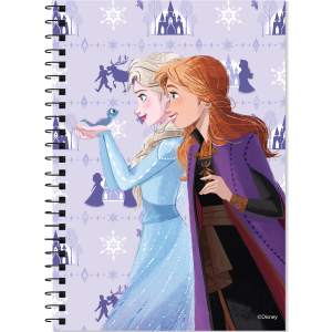 ΤΕΤΡΑΔΙΟ ΣΠΙΡΑΛ "FROZEN" 17x25/120ΣΕΛ-2 ΘΕΜΑΤΑ