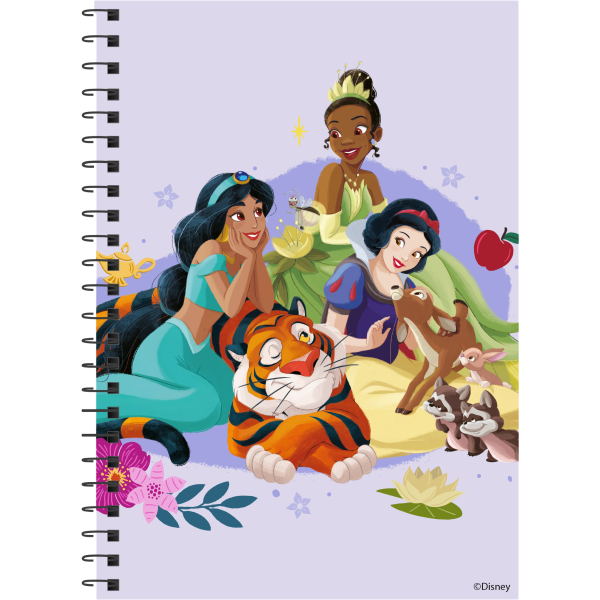 ΤΕΤΡΑΔΙΟ ΣΠΙΡΑΛ "PRINCESS" 17x25/120ΣΕΛ-2 ΘΕΜΑΤΑ