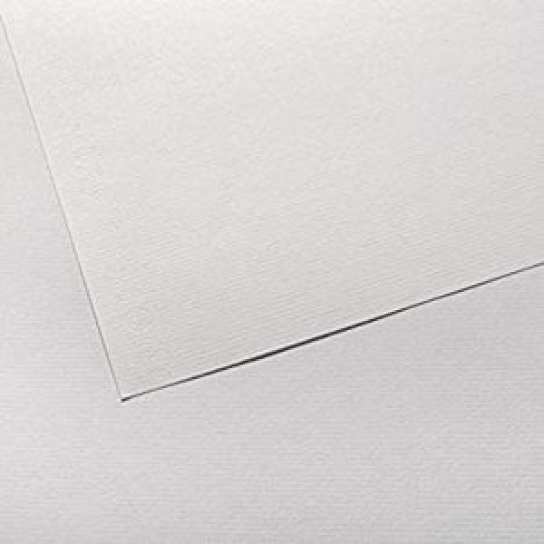 ΧΑΡΤΟΝΙΑ CANSON INGRES  50X65 100gr WHITE (Συσ-25τεμ)