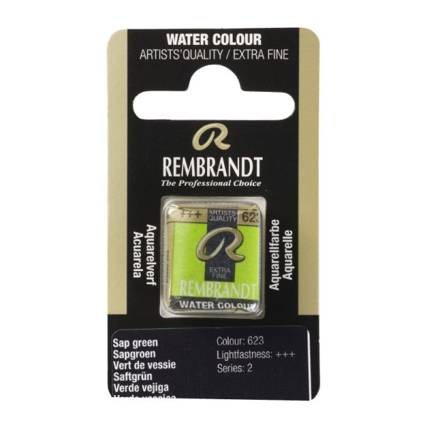 ΠΑΣΤΙΛΙΕΣ ΑΚΟΥΑΡΕΛΑΣ REMBRANDT S2 623 Sap Green