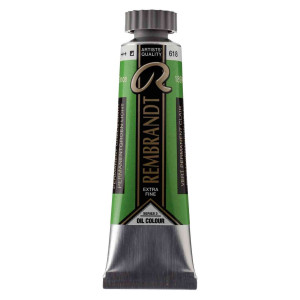 ΛΑΔΙΑ REMBRANDT 15ml S3 T.6 618 Permanent Green Light