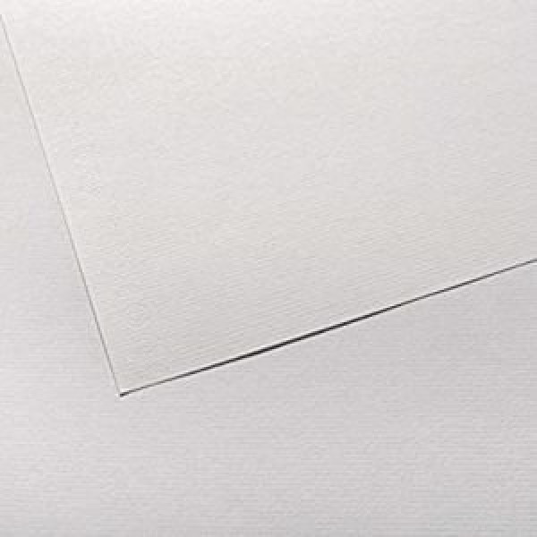 ΧΑΡΤΟΝΙΑ CANSON INGRES  50X65 100gr WHITE