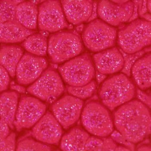 ΣΜΑΛΤΟ (ENAMEL) FANTASY PRISME English Red 45ml PEBEO