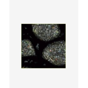 ΣΜΑΛΤΟ (ENAMEL) FANTASY PRISME Onyx 45ml PEBEO