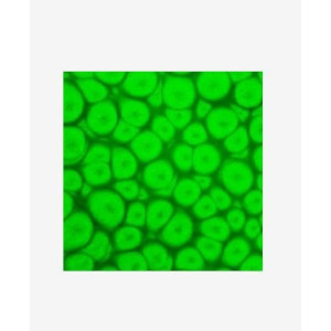 ΣΜΑΛΤΟ (ENAMEL) FANTASY PRISME Fluo Green 45ml PEBEO